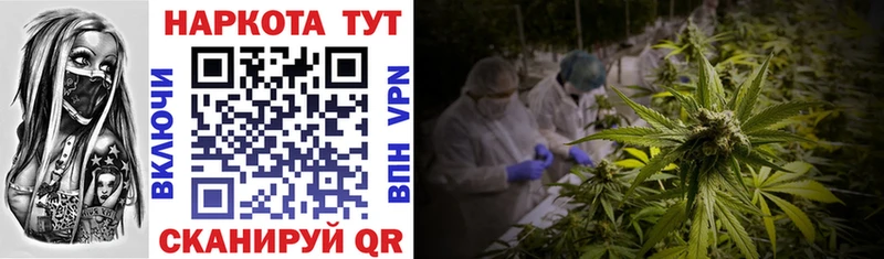 Где можно купить наркотики Туринск СК  МЕГА как зайти  ГАШИШ  Каннабис  Мефедрон 