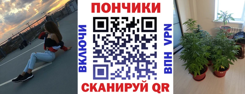 Бошки марихуана марихуана Туринск